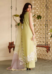 Lawn - Asifa & Nabeel - Versa Luxury 26 - VUL#03 - Heirloom
