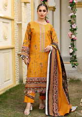 Winter Collection - Bin Rashid - Aina - BA24#02