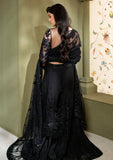 Formal Collection - Neeshay - Pari Naaz - Wedding Formals 24 - D#6 - SHABANA