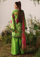 Winter - Naqsh - Bloom & Vogue 25 - NB#00151 - Parrot Green