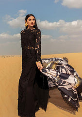 Lawn Collection - Rang Rasiya - Premium - RSP24#04 - Alaya