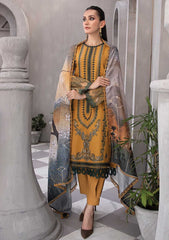 Winter Collection - Rang Rasiya - Florence - Linen shawl - DN#03