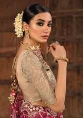 Formal Collection - Rang Rasiya - Shehnaiyan - Wedding - D#6 - Nafisa