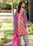 Lawn Collection - Charizma - C Prints - Vol 5 - CP4#46