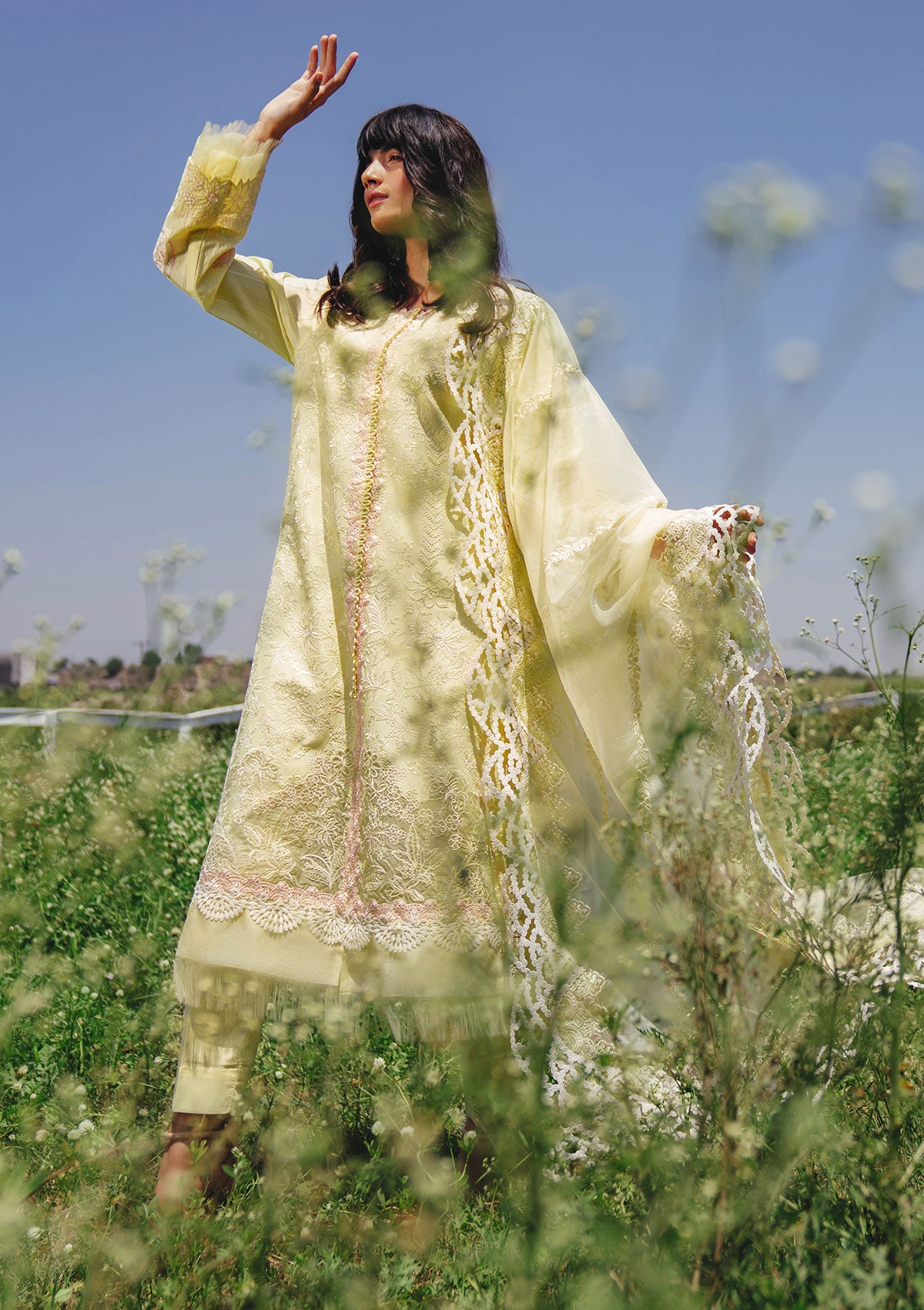 Lawn Collection - Sana Zubair - Jewels of the Meadow - SZ#03 - CITRINE