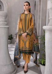 Winter Collection - Rang Rasiya - Florence - Linen shawl - DN#03