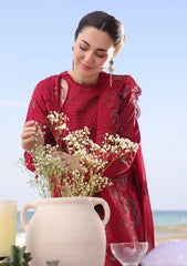 Lawn - Imrozia Serene - Hania Luxury - SL 82 Iswah