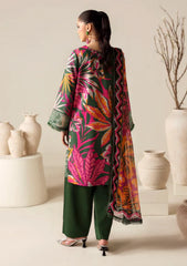 Winter - Naqsh - Zyrah 25 - D#185 - DARK GREEN