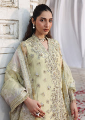 Formals - Akbar Aslam - Rang Mehal - Festive 25 - D#1604 - Mehro