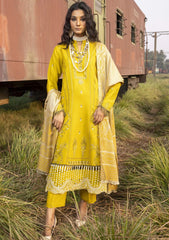 Winter Collection - Humdum - Rahgeer - HR24#8