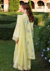 Lawn - Rang Rasiya - Florence - Premium Summer 26 - MISHA