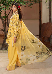 Winter - Humdum - Zaiba - Karandi 25 - D#03