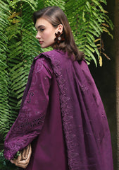 Lawn - Qalamkar - Qline 26 - Drop 1 - RP#08 - LIORA