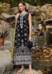 Lawn - Noor by Saadia Asad - Luxe Chikankari - NL25#03 B