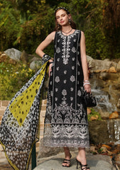 Lawn - Noor by Saadia Asad - Luxe Chikankari - NL25#03 B