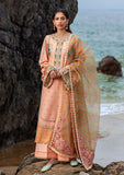 Lawn Collection - Mohsin Naveed Ranjha - Festive 24 - MFL#18 - Rani