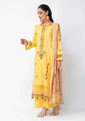 Winter - Ambers Eliana - Ava - Karandi 25 - AEKC-UF#16