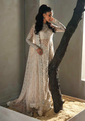 Formals - Akbar Aslam - Meeras - Luxury Chiffon 25 - D#1611 - Sehrya