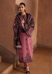 Winter - Rajbari - Winter Shawl - Exclusive 25 - D#02