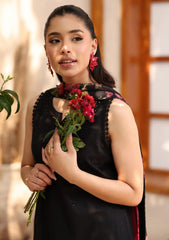 Lawn - Raaya - Rameen 26 - Vol II - ZENITH