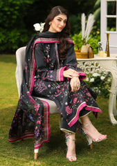 Winter - Rang Rasiya - Luxe Silk 25 - RRLS#06 - Farwa