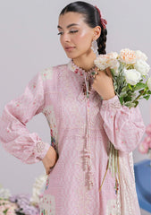 Lawn - Qalamkar - Q Prints 25 - Vol II - QLM#02-B