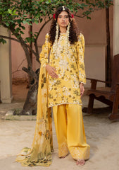 Winter - Humdum - Zaiba - Karandi 25 - D#03