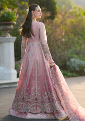 Formals - Inayat - Festive 25 - ELVA