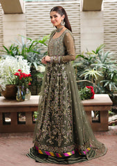 Formals - Roheenaz - Aangan - Chiffon 25 - D#104 - Mehwar