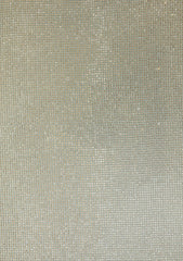 Shamoz Silk With Stone Work - ASPL#43
