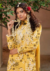 Winter - Humdum - Zaiba - Karandi 25 - D#03