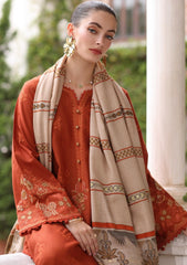 Winter - Noor by Saadia Asad - Pashmina Shawl 25 - NSP#10 - Rustique