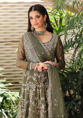Formals - Roheenaz - Aangan - Chiffon 25 - D#104 - Mehwar