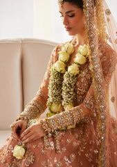 Formals - Zaha - Gossamer - Unstitched Wedding - Festive 25 - ZC#08 - GUL-E-MAHNOOR