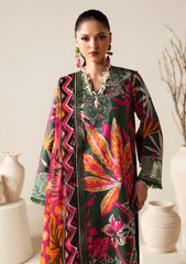 Winter - Naqsh - Zyrah 25 - D#185 - DARK GREEN