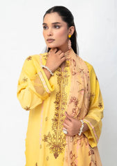 Winter - Ambers Eliana - Ava - Karandi 25 - AEKC-UF#16