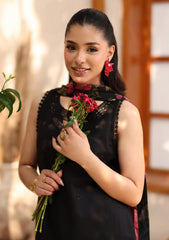 Lawn - Raaya - Rameen 26 - Vol II - ZENITH