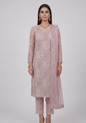 Formals - Riwaj - Fancy Net - 2 Pcs Suit - CND#2174 - Falsa