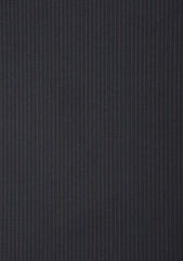 Carlo Barbera Riserva Superfine Exclusive Wool Fabric - R Black