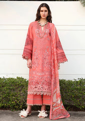 Lawn - Esmel - Belle Saison 26 - EUNSS#209 - Coralie