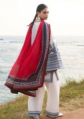 Lawn - Jugnu by Hussain Rehar - Spring Summer 25 - Tawi