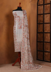 Formals - Bahawalpur Pehnawa - Chiffon - 2 Piece - D#06