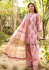 Lawn - M.basics - Eid II - Unstitched 25 - 08A