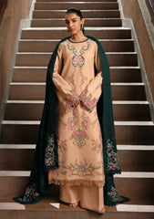 Winter - Rajbari - Winter Shawl - Exclusive 25 - D#07