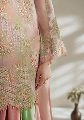 Formals - Vera - Wedding Festive 26 - Blush Pink Shirt Set
