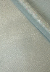 Shamoz Silk With Stone Work - ASPL#43