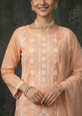 Formals - Riwaj - Fancy 26 -  Thread Work - 2 Pcs - D#03 - Peach