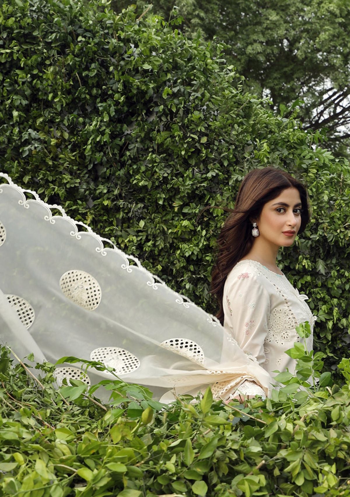 Lawn Collection - Qalamkar - Festive Lawn 24 - PS#04 - ZUHA