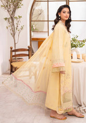 Lawn - Humdum - Nayab 26 - D#02