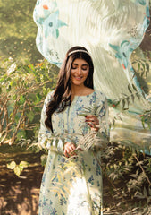 Lawn - Humdum - Gardenia 26 - D#09